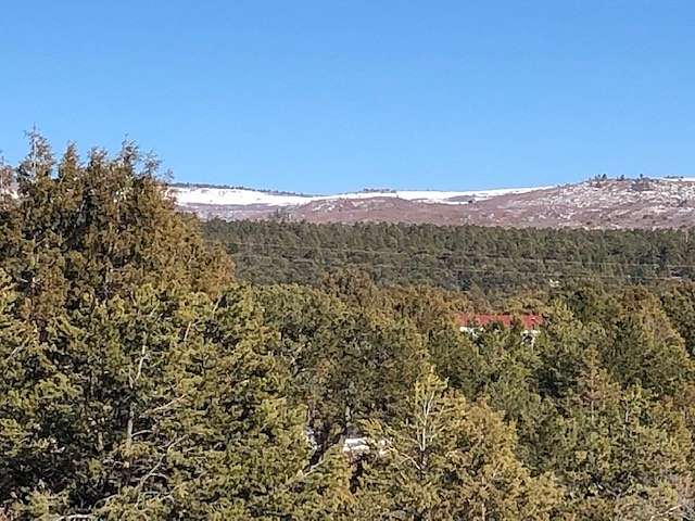 8 Acres of Residential Land for Sale in Canjilon, New Mexico