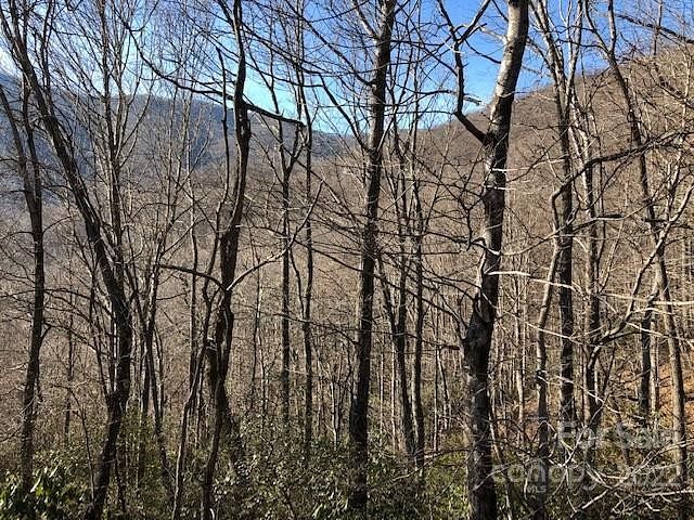 1.03 Acres of Residential Land for Sale in Black Mountain, North Carolina