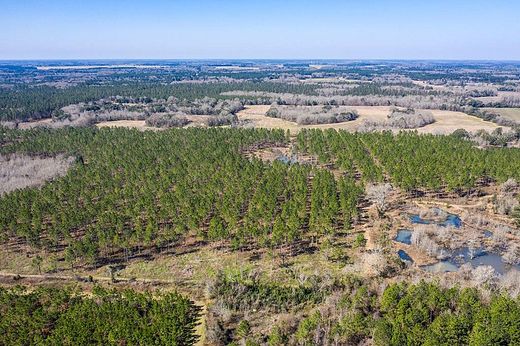 104 Acres of Recreational Land for Sale in Leesburg, Georgia