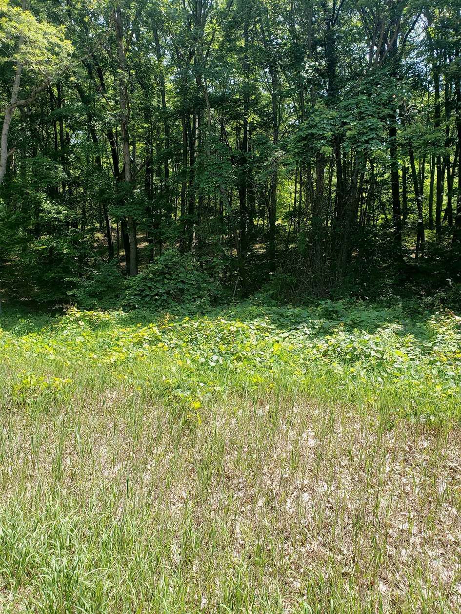 0.77 Acres of Residential Land for Sale in Harrison, Michigan