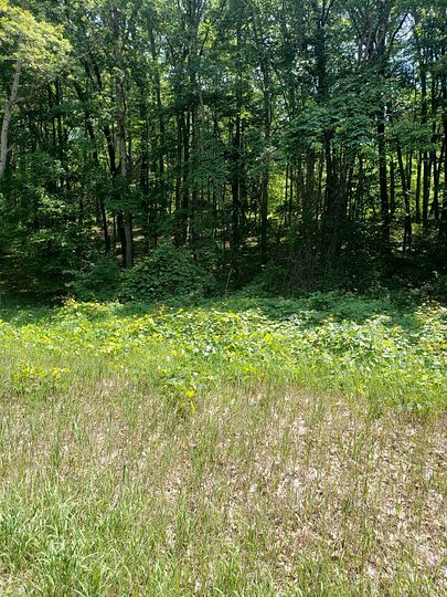 0.77 Acres of Residential Land for Sale in Harrison, Michigan