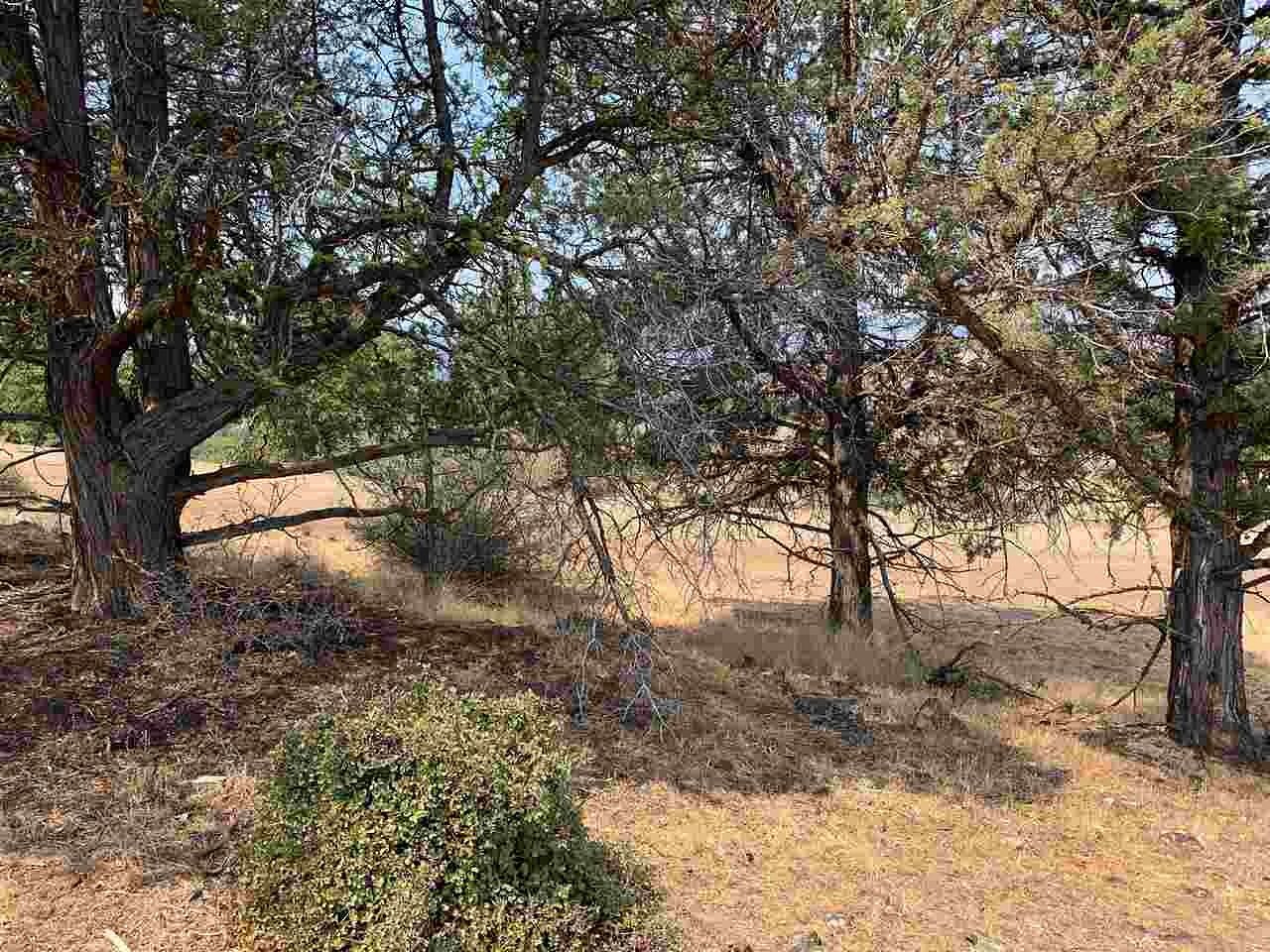 2.6 Acres of Land for Sale in Montague, California
