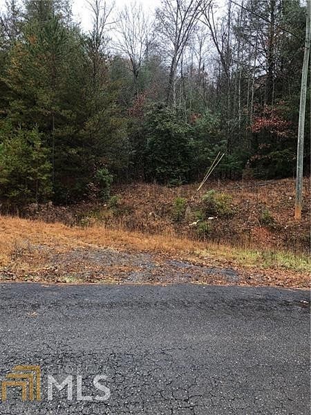 21.9 Acres of Land for Sale in Ellijay, Georgia