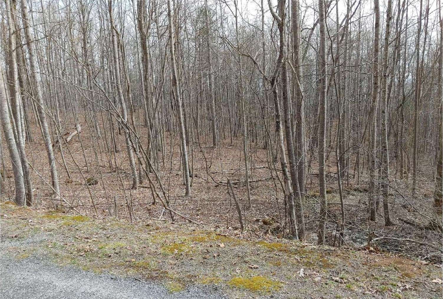 1 Acre of Land for Sale in Hiawassee, Georgia
