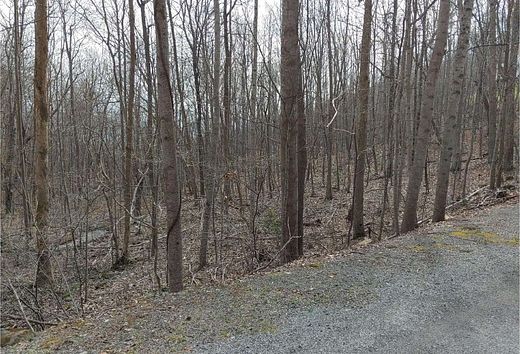 1 Acre of Land for Sale in Hiawassee, Georgia