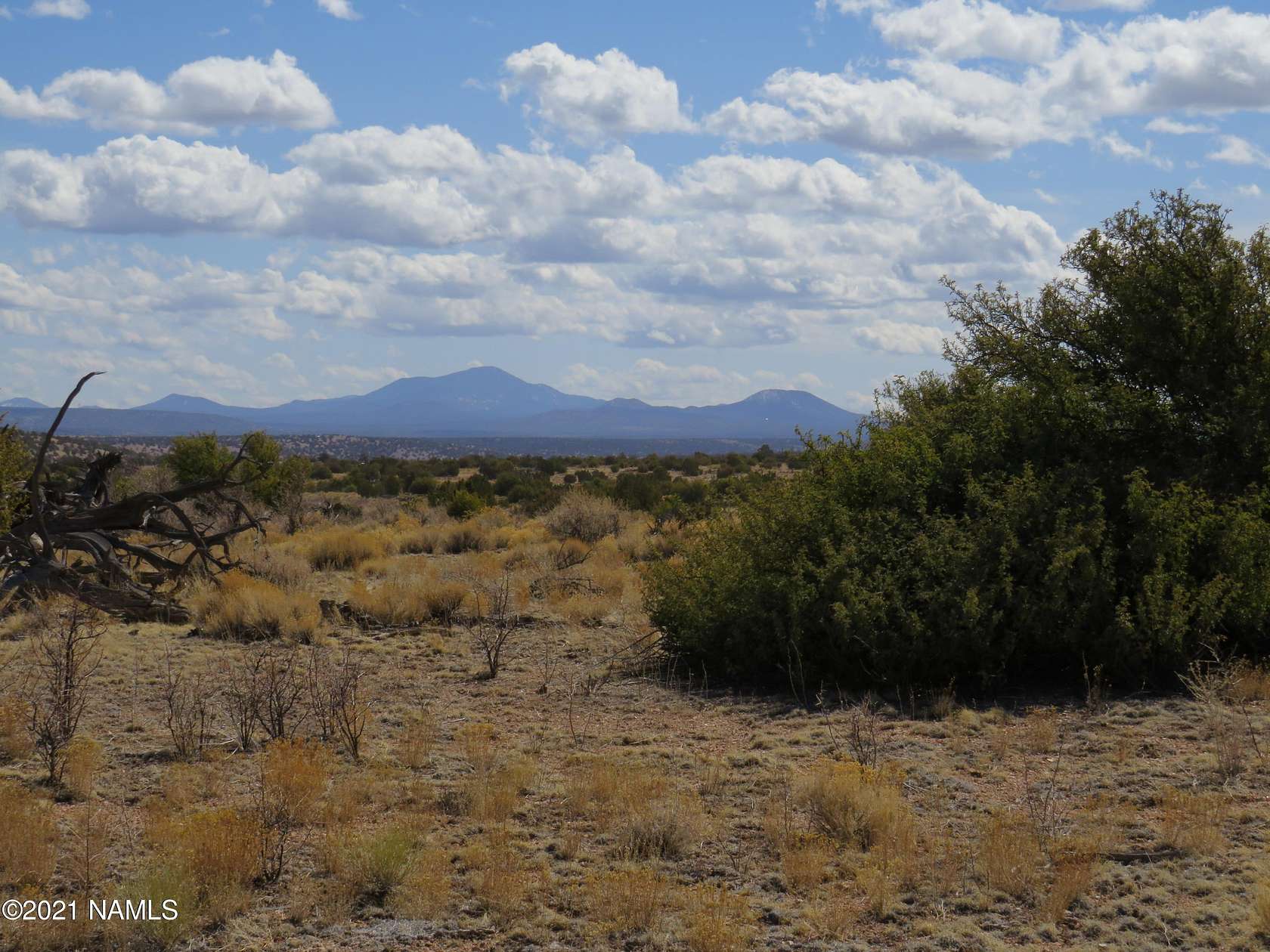 36 Acres of Recreational Land for Sale in Williams, Arizona