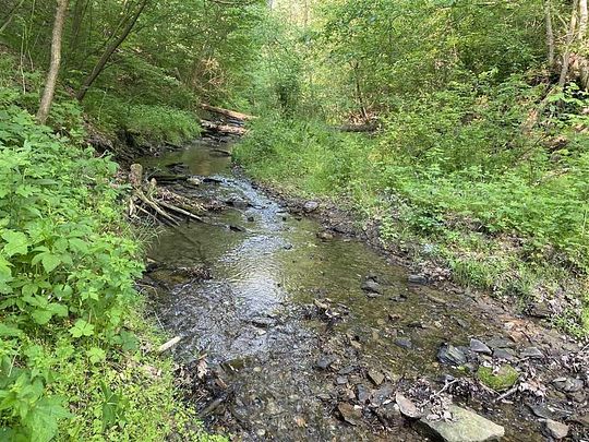 48 Acres of Recreational Land for Sale in Avella, Pennsylvania