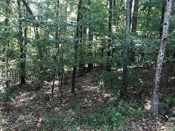 1.5 Acres of Residential Land for Sale in Lynchburg, Virginia