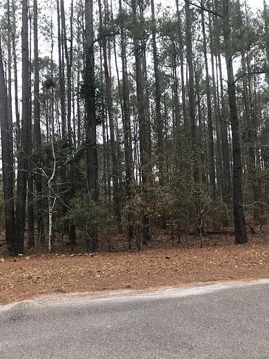 1 Acre of Residential Land for Sale in Barnwell, South Carolina