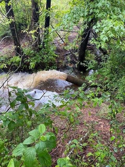 51 Acres of Recreational Land for Sale in Athens, Texas