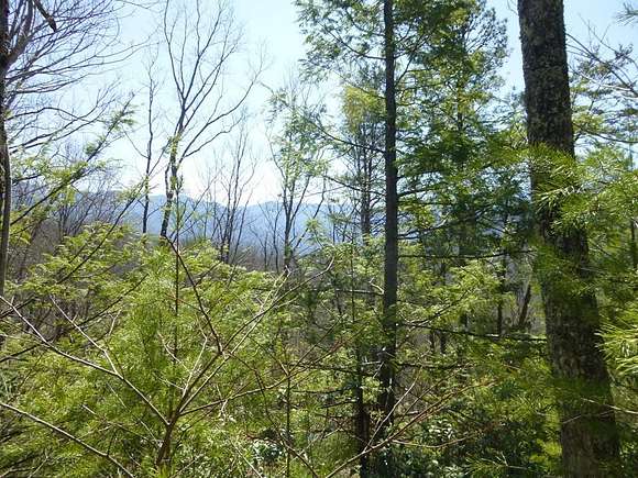 2.1 Acres of Residential Land for Sale in Cosby, Tennessee