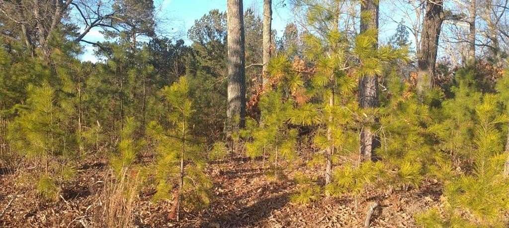 12.8 Acres of Commercial Land for Sale in Acworth, Georgia