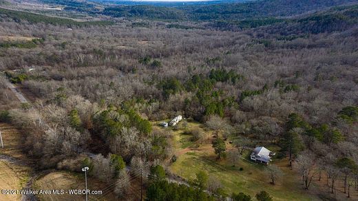 21.5 Acres of Commercial Land for Sale in Jasper, Alabama