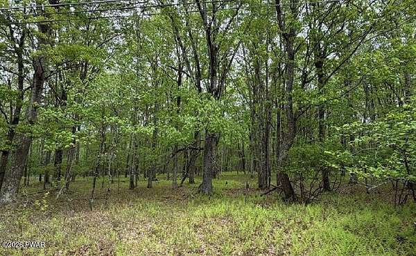 1 Acre of Residential Land for Sale in Hawley, Pennsylvania