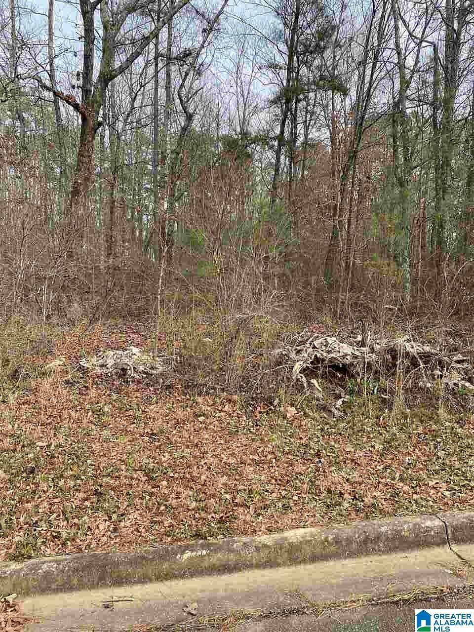 0.35 Acres of Residential Land for Sale in Anniston, Alabama