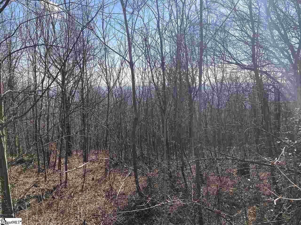 2.3 Acres of Residential Land for Sale in Landrum, South Carolina