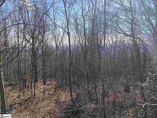 2.3 Acres of Residential Land for Sale in Landrum, South Carolina