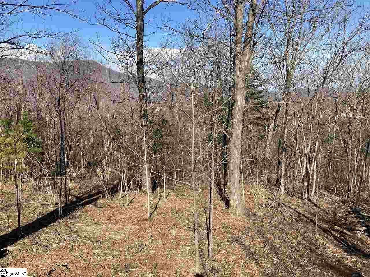 1.3 Acres of Residential Land for Sale in Landrum, South Carolina