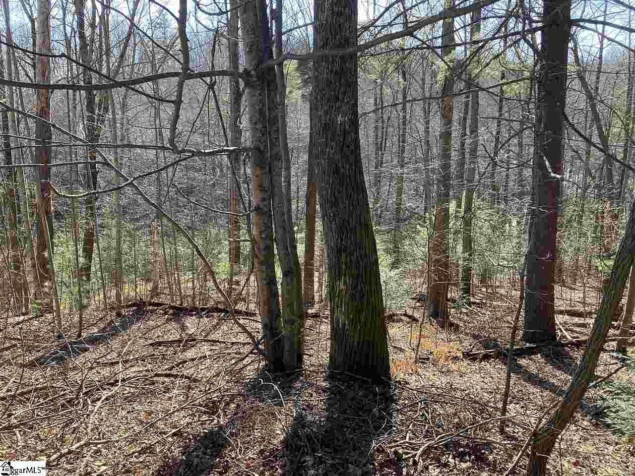 1.1 Acres of Residential Land for Sale in Landrum, South Carolina