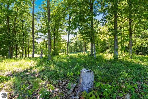1.1 Acres of Residential Land for Sale in Beulah, Michigan