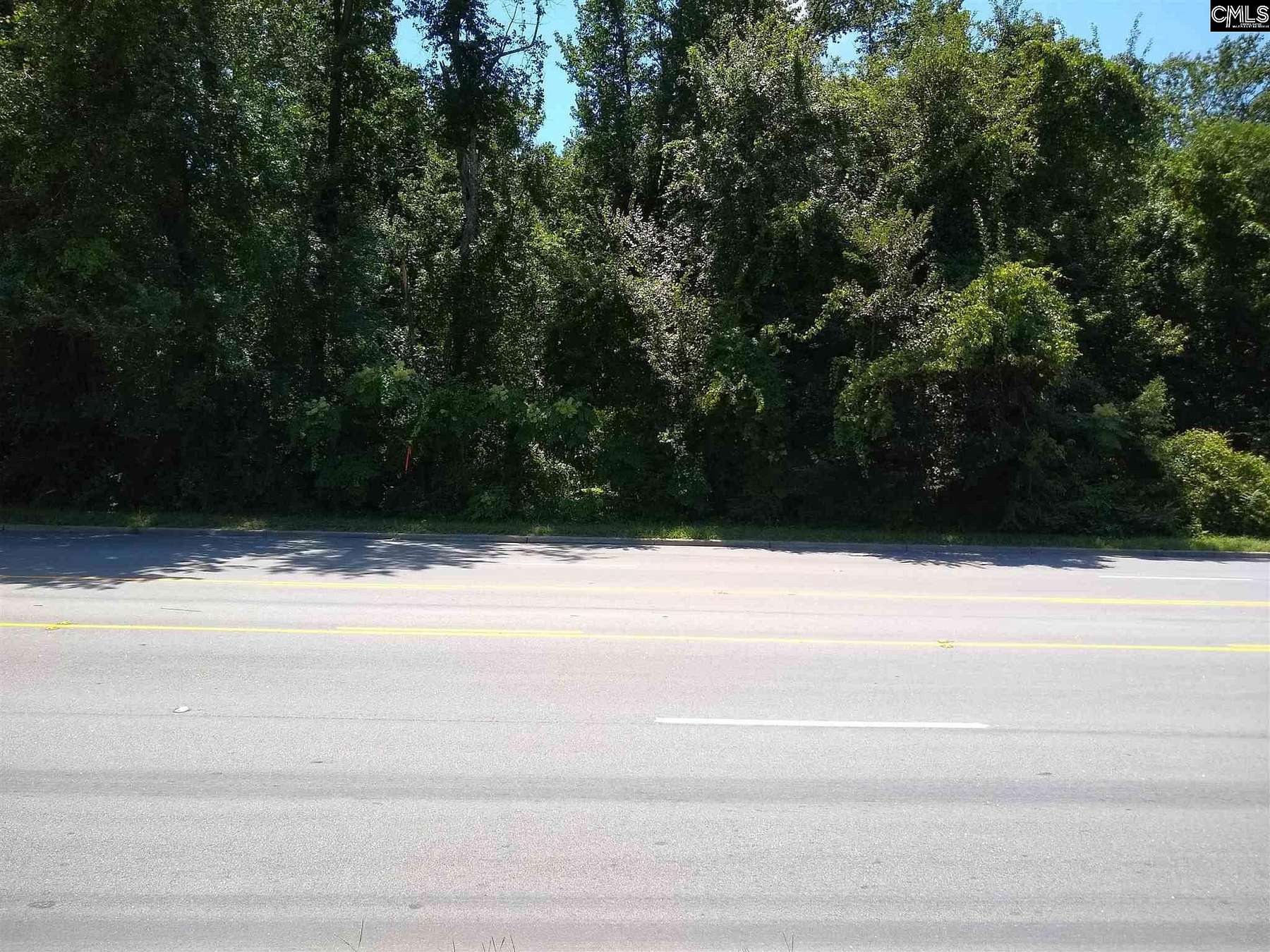 19 Acres of Land for Sale in Cheraw, South Carolina