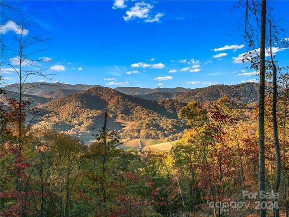 65.8 Acres of Recreational Land for Sale in Leicester, North Carolina