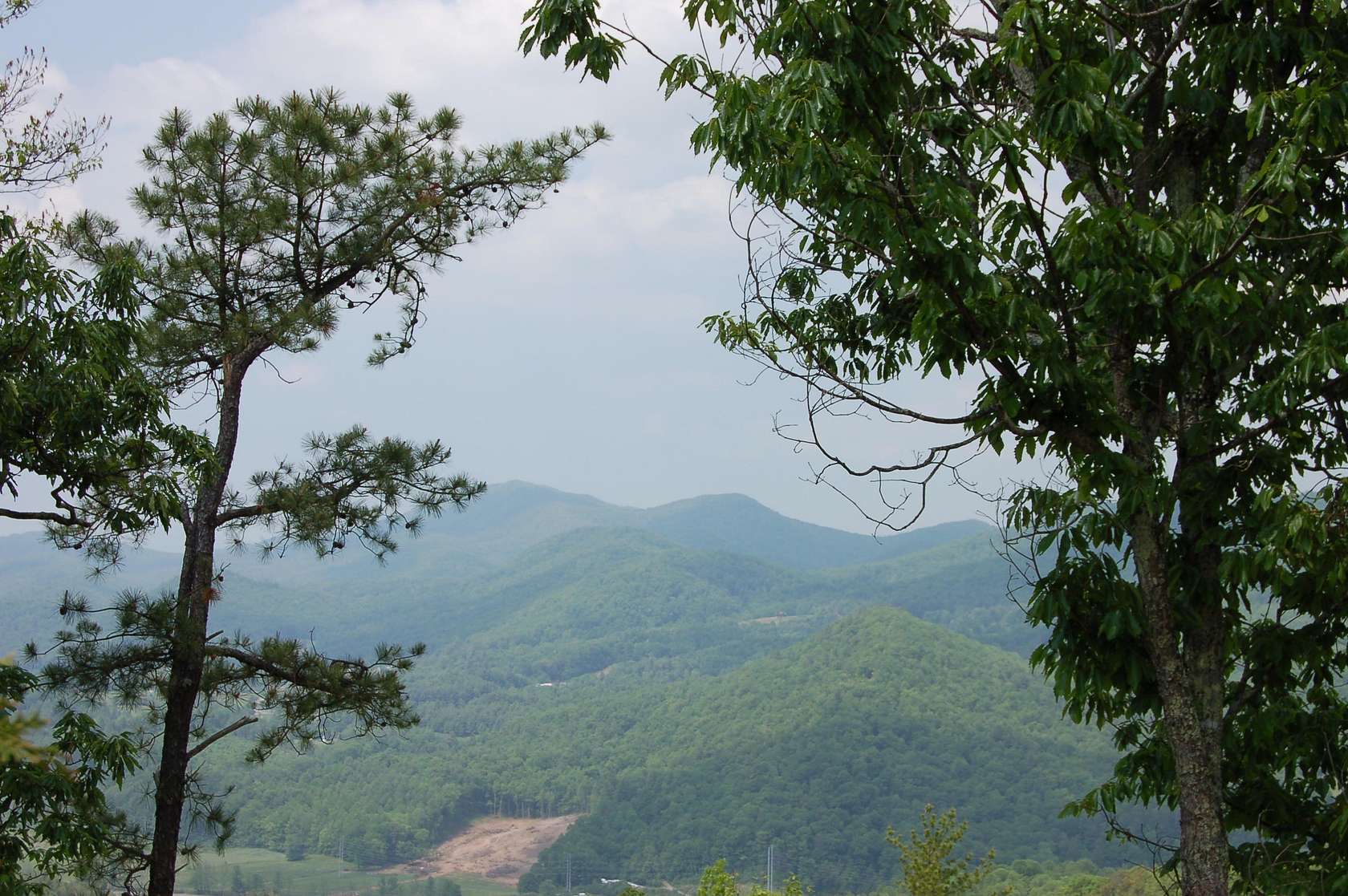 42.8 Acres of Recreational Land for Sale in Mountain City, Tennessee