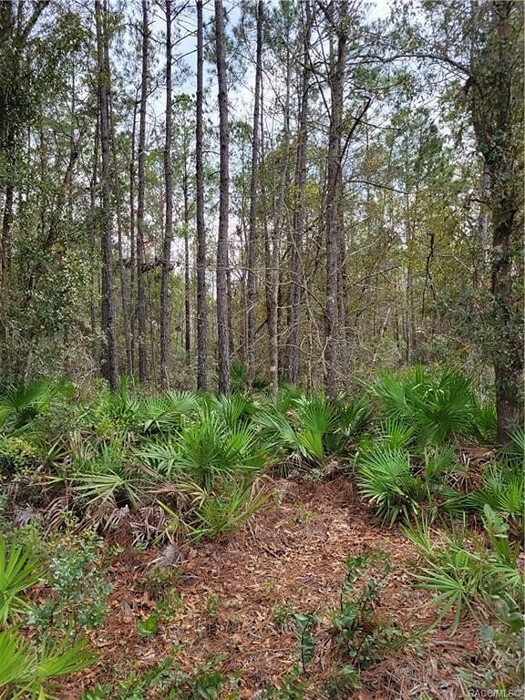 1 Acre of Land for Sale in Inglis, Florida