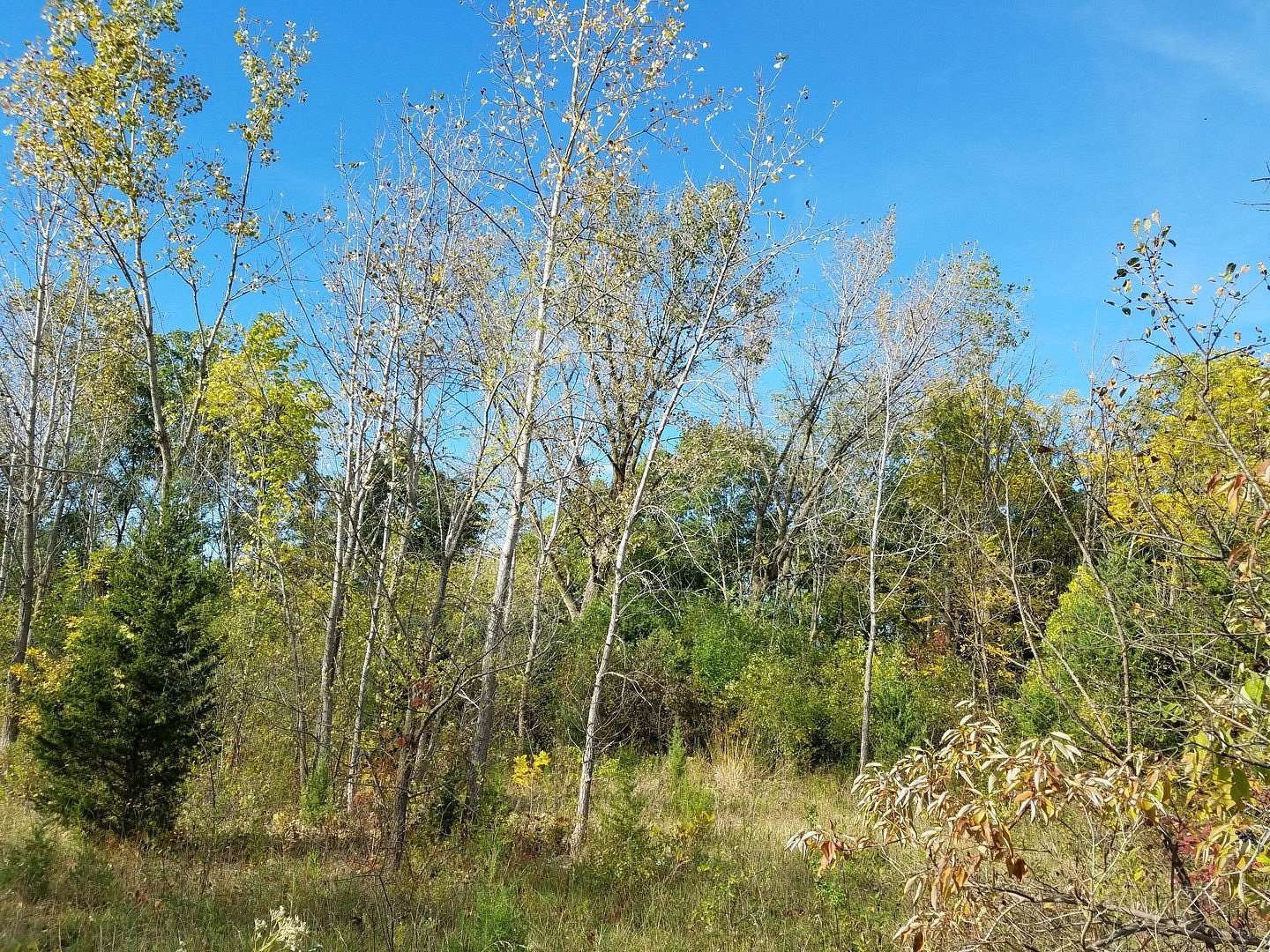 2.9 Acres of Commercial Land for Sale in Lockport, Illinois