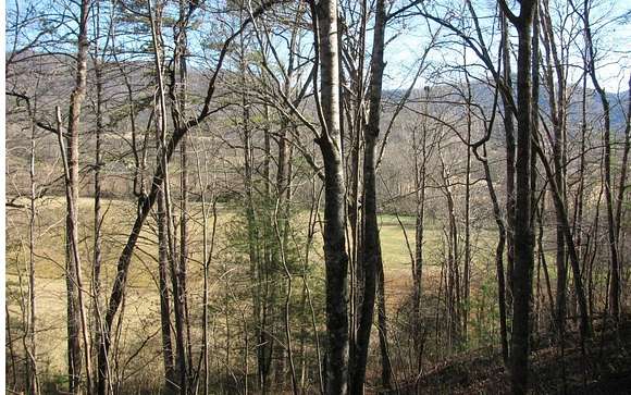 0.61 Acres of Residential Land for Sale in Young Harris, Georgia