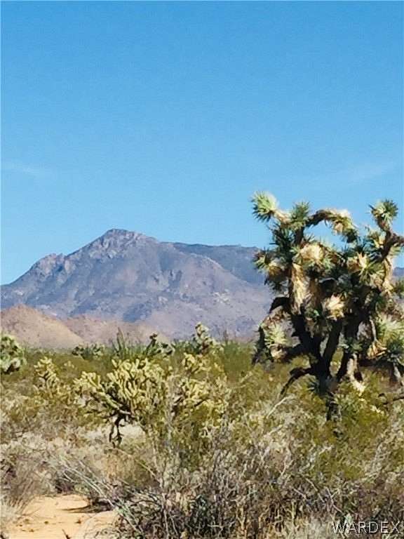 9 Acres of Land for Sale in Yucca, Arizona