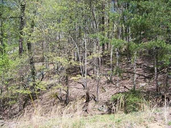 0.62 Acres of Residential Land for Sale in Waleska, Georgia