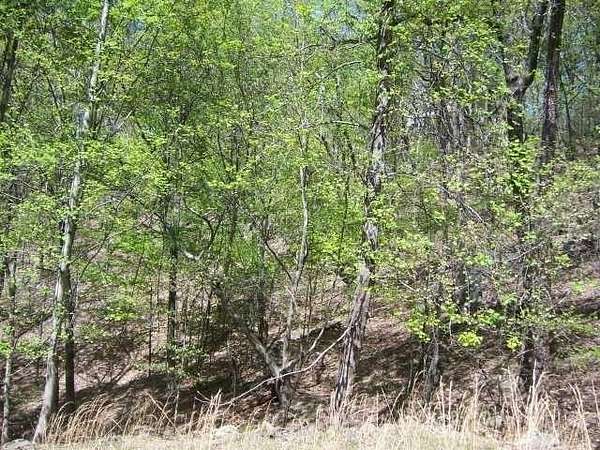 0.48 Acres of Residential Land for Sale in Waleska, Georgia