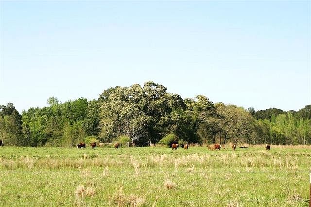 34 Acres of Land for Sale in Reeves, Louisiana