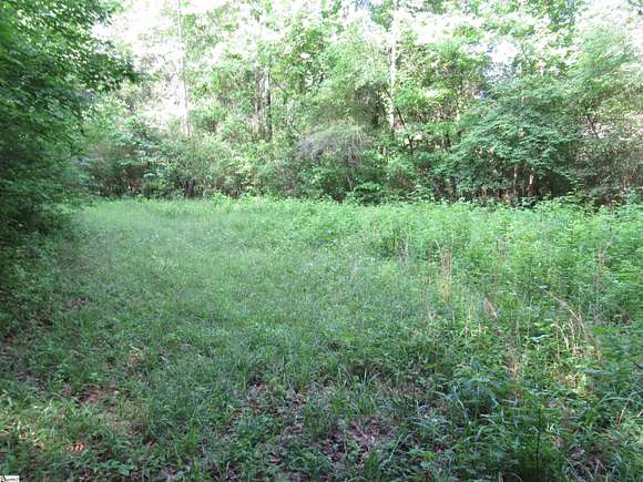 25.9 Acres of Land for Sale in Pickens, South Carolina