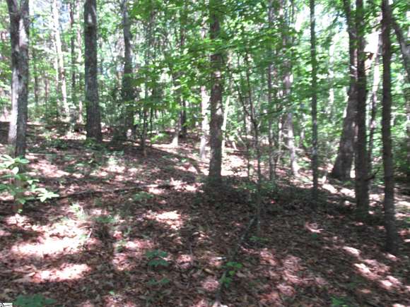 2.7 Acres of Residential Land for Sale in Cleveland, South Carolina