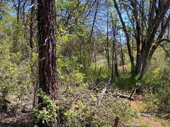 16.5 Acres of Land for Sale in Weaverville, California