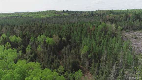 280 Acres of Recreational Land for Sale in Ishpeming, Michigan