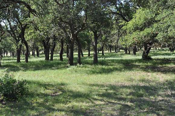 157 Acres of Agricultural Land for Sale in Harper, Texas