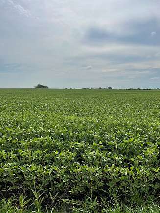 10 Acres of Land for Sale in Manhattan, Illinois