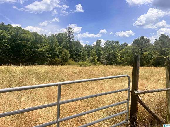 17 Acres of Recreational Land for Sale in Carbon Hill, Alabama