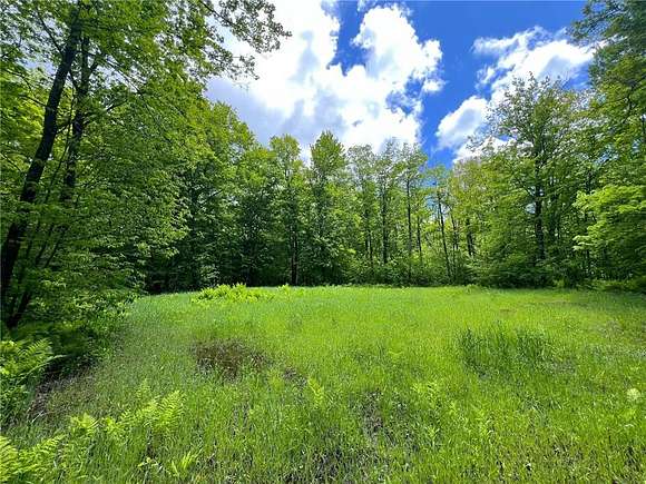 80 Acres of Recreational Land for Sale in Isle, Minnesota