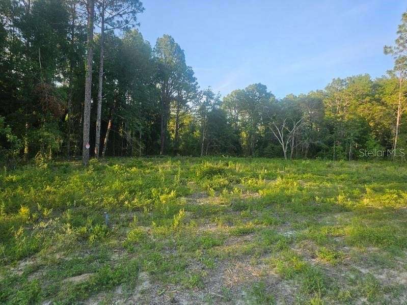 0.58 Acres of Residential Land for Sale in Brooksville, Florida