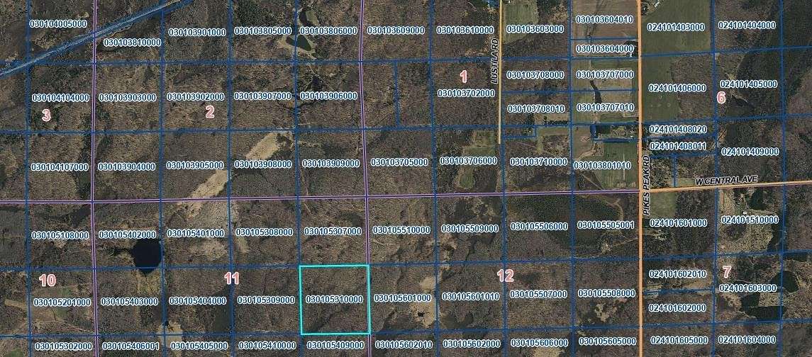 40 Acres of Land for Sale in Brantwood, Wisconsin