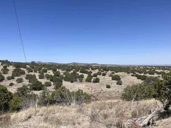 40.1 Acres of Land for Sale in Magdalena, New Mexico