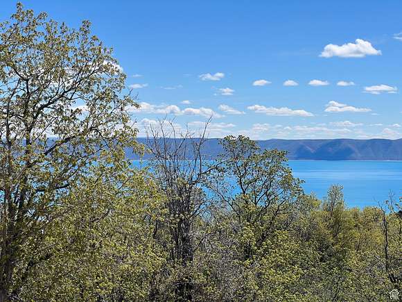 0.21 Acres of Residential Land for Sale in Fish Haven, Idaho
