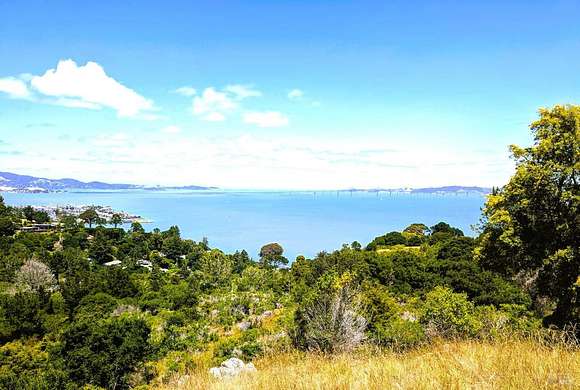 26.1 Acres of Land for Sale in Tiburon, California