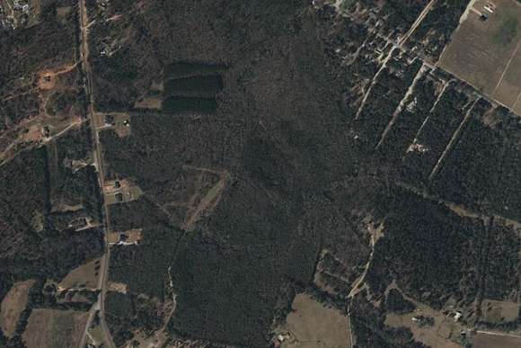 43 Acres of Agricultural Land for Sale in Hephzibah, Georgia