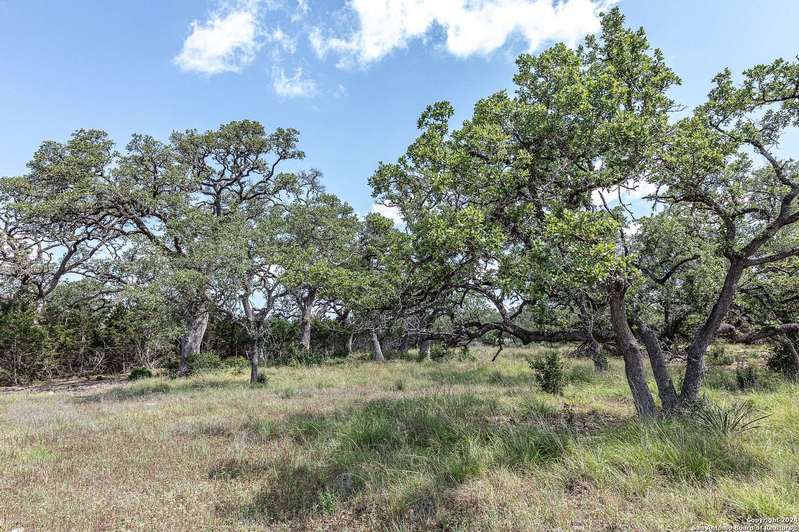 1 Acre of Residential Land for Sale in Bulverde, Texas