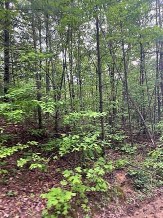 2.9 Acres of Residential Land for Sale in Grandview, Tennessee